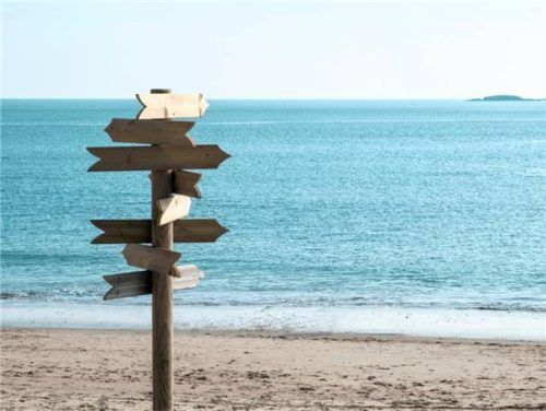 Wie soll es nach dem Schulabschluss weitergehen?