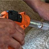 Blauzungenkrankheit im Landkreis Traunstein