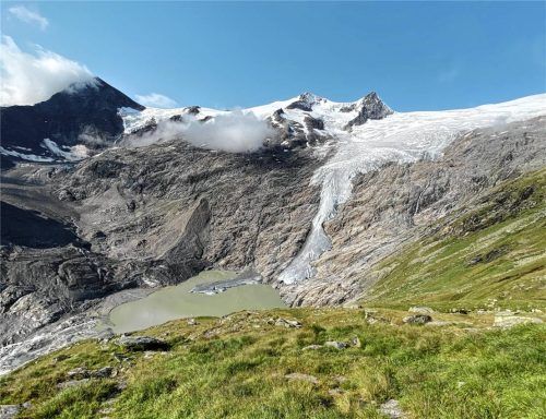 Wo früher alles voller Schnee und Eis war, sind jetzt viele grüne Wiesen – doch das ist nicht nur positiv. Foto Fleckenstein