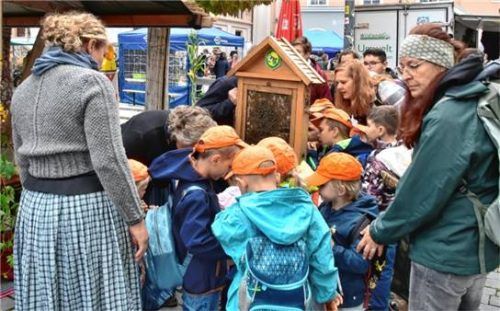 Woher kommt eigentlich Honig? Hier gab es Antworten.