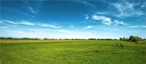 Zukunftsfähige Grünlandnutzung ist ein Thema bei der LfL-Jahrestagung. Foto Adobestock