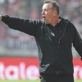 Wer traut sich die Löwen zu?