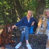 Wenn der Hund zum Partner wird