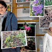 Preisverleihung beim Wettbewerb des Ortsverschönerungsvereins: Der Garten inspiriert die Fotografen
