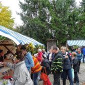 Kraut- und Rübenmarkt lockt