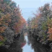 Zwei Seiten einer besonders farbintensiven Jahreszeit