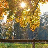 Goldener Oktober in Hochform