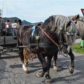 Leonhardi-Ritt nach Weiher