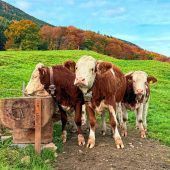 Der Herbst in den schönsten Farben
