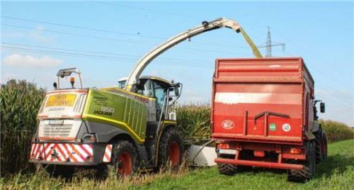 Arbeit Hand in Hand: Links häckselt die Maschine ganze Maispflanzen zu Erntegut, das mittels eines Turms auf den daneben fahrenden Anhänger geblasen wird.