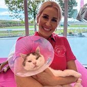 Katze blutüberströmt am Straßenrand aufgesammelt