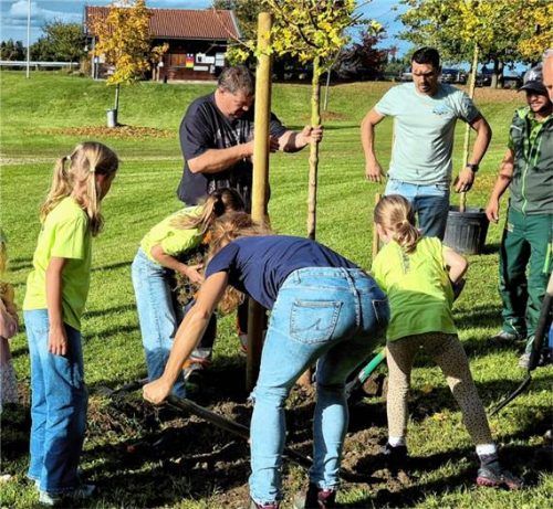 Baumpflanzaktion Griesstätt durch die „Nature Girls“.Foto rieger