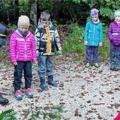 Wie sehen die Blätter aus? Wie unterscheiden sich die Rinden?