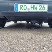 Herzenswunsch-Hospizmobil in Flammen