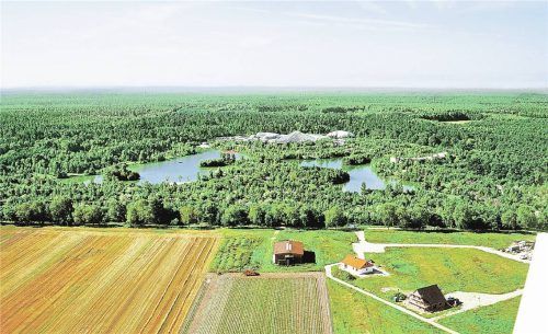 Der riesige Center Park ist perfekt in die Bispinger Heide eingebettet. Fotos Barbara Höfler, Centerparcs