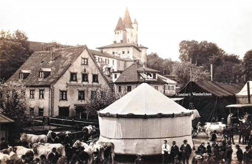 Der Viehmarkt von 1908 auf dem Bräuhausplatz.Foto Meindl
