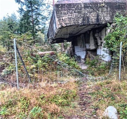 Der Zaun an der Anlage ist niedergetrampelt.Foto PI Mühldorf