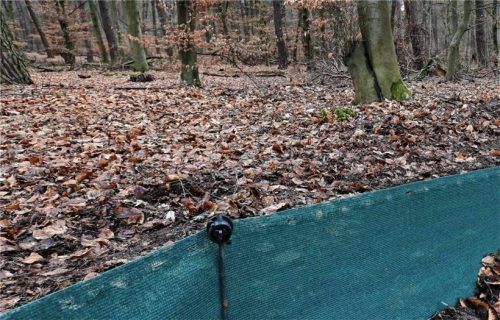 Derartige Amphibien- beziehungsweise Froschschutzzäune sollen Amphibien von viel befahrenen Straßen abhalten. Foto IMAGO/Shotshop