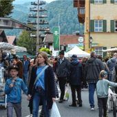 Etwas kleiner, aber feiner als in den Vorjahren