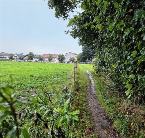 Die Frage nach dem Ausbau dieses Trampelpfades zwischen der Simsseestraße und Westerndorfer Straße beschäftigte Gemeinderat und Verwaltung. Foto Blum
