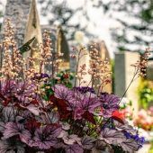 Trauermonat November