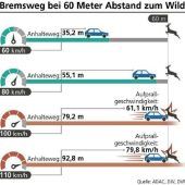 1500 tote Rehe pro Jahr im Landkreis