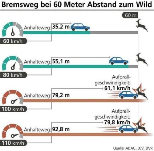 Die Grafik zeigt, wie sich der Bremsweg je nach gefahrener Geschwindigkeit verändert. Klinger