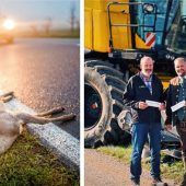 <p>Die Maisernte im Landkreis führt zu verstärktem Wildwechsel. BBV-Kreisobmann Ulrich Niederschweiberer (links) und der Kreisvorsitzende des Bayerischen Jagdverbandes, Sascha Schnürer, warnen vor Wildunfällen.Fotos dpa/BBV</p>