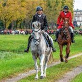 Goldener Jagdtag auf Herrenchiemsee