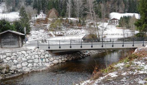 Die Sanierung der Brücke in Wien verursachte hohe Kosten, doch diese Maßnahme war dringend notwendig, da die alte im Laufe der Jahre stark in Mitleidenschaft gezogen wurde. Zudem ist das neue Bauwerk ein wenig breiter. Foto  Wegscheider