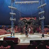 Die Parallelwelt hinter der Manege