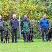 Herbstprüfung beim Schäferhundeverein