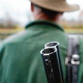 Jäger muss verletztes Reh in Prien erlösen