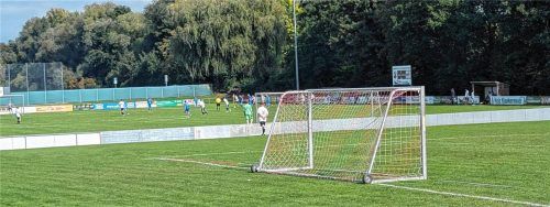 Ein schöner Rasen will gepflegt werden. Doch in Neumarkt-St. Veit kommt das aktuell dem Sportverein noch teuer zu stehen. Foto  Dalhoff