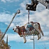 Tag der offenen Tür – Aus Übung wird ernst