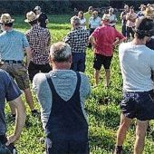 Grün ist nicht gleich Grün – 100 Fachleute teilen ihre Erkenntnisse