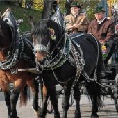 Breitbrunn bereitet sich auf den Leonhardi-Ritt am kommenden Sonntag vor