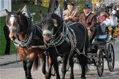 Herausgeputzte Pferde bestimmen das Bild des Leonhardi-Ritts. Foto wastl