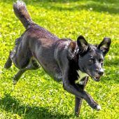 Emma will als Prinzessin einen Einzelplatz