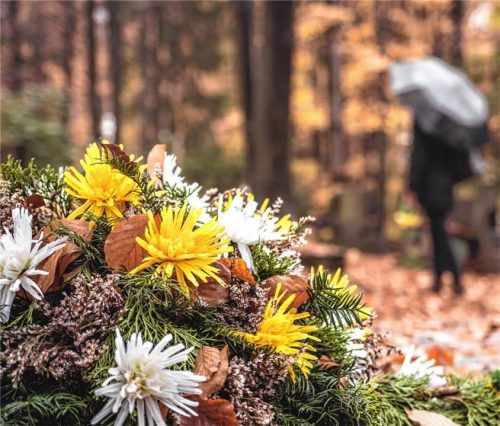 Laub im Herbst muss nicht restlos entfernt werden – es bietet Wildtieren Unterschlupf.