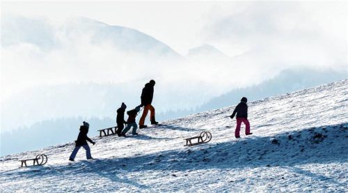 Mit dem Schlitten am Berg: Rodeln ist eines der großen Wintervergnügen. Allerdings gibt es auch immer wieder schwere Unfälle. Einer davon landete nun vor Gericht. Foto dpa (SYMBOLFOTO)