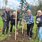 Neue Bäume fürWasserburger Streuobstwiese