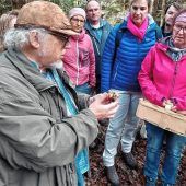 Pilze sind mehr als nur Speisepilze