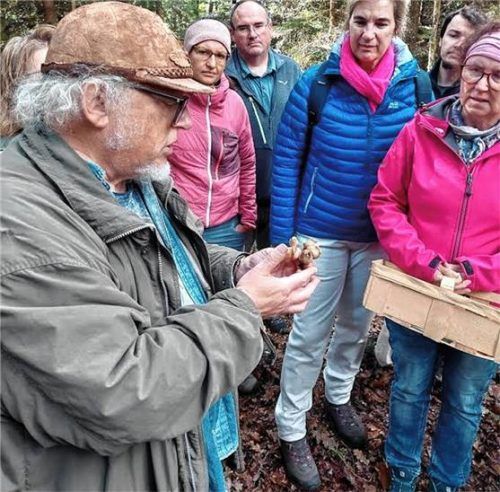 Pilzexperte Till Lohmeyer klärt Teilnehmer der Schwammerl-Exkursion über die Art der Pilze auf.Foto  OGV rOTT.