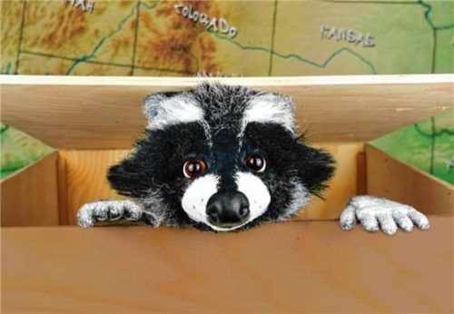 Rocky Waschbär kommt zu Besuch. Foto marotte–Theater Karlsruhe