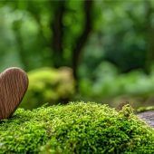 Trauermonat November