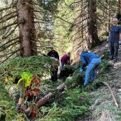 Projekt „Schwendaktion“ erreicht das Finale