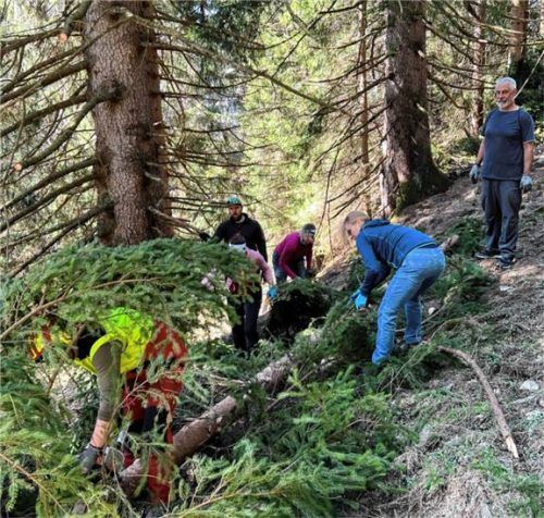 Schwendarbeiten auf der Weitalm.Foto achental-Tourismus