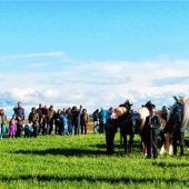 Breitbrunner Rosserer trotzen Wetterkapriolen