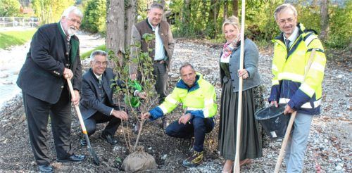 Symbolischer Akt zur Einweihung des Hochwasserschutzes am Steinbach: (von links) Sebastian Friesinger (MdL/CSU), Landrat Otto Lederer (CSU), MdL Josef Lausch (Freie Wähler), Staatsminister Thorsten Glauber (Freie Wähler), Bürgermeisterin Susanne Grandauer (CSU/FWG) und Dr. Tobias Hafner (Leiter des Wasserwirtschaftsamts Rosenheim) pflanzen gemeinsam einen Baum zur Erinnerung an die Fertigstellung der Schutzmaßnahmen. Foto Steffenhagen